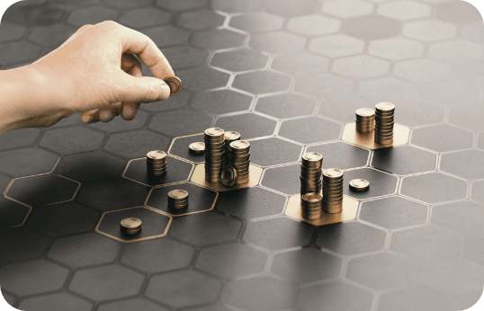 Adaptable Economies