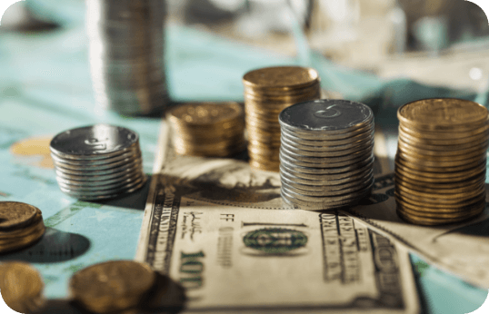Adaptable Economies
