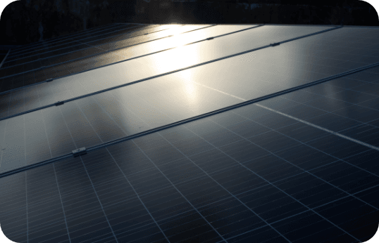Sustainable & Ethical Technology Practices
